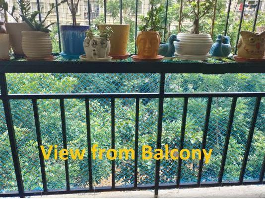 2 BHK Flat In Ankuraa Park View For Sale  In Ankuraa Park View