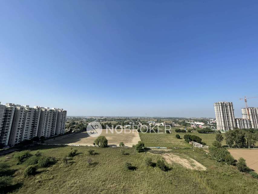 2 BHK Flat In Rof Ananda, Sector-95 for Rent  In Rof Ananda