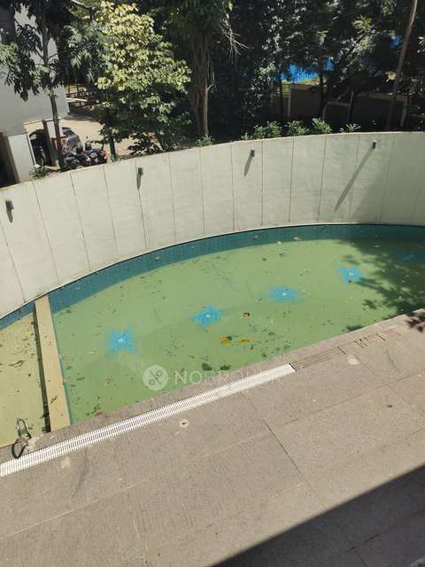 1 BHK Flat In Sai Paradise for Rent  In Punawale