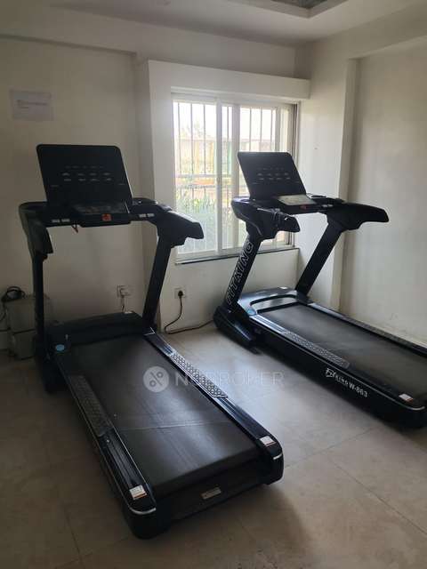 1 BHK Flat In Sai Paradise for Rent  In Punawale