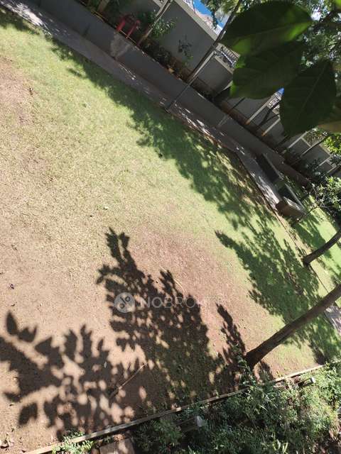 1 BHK Flat In Sai Paradise for Rent  In Punawale