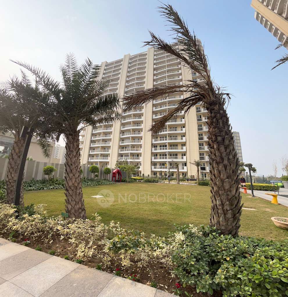 Bptp Terra Gurgaon Sector 37D Rent WITHOUT BROKERAGE Semifurnished 3