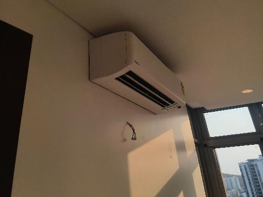 3 BHK Flat In Kasturi Eon Homes for Rent  In Hinjewadi