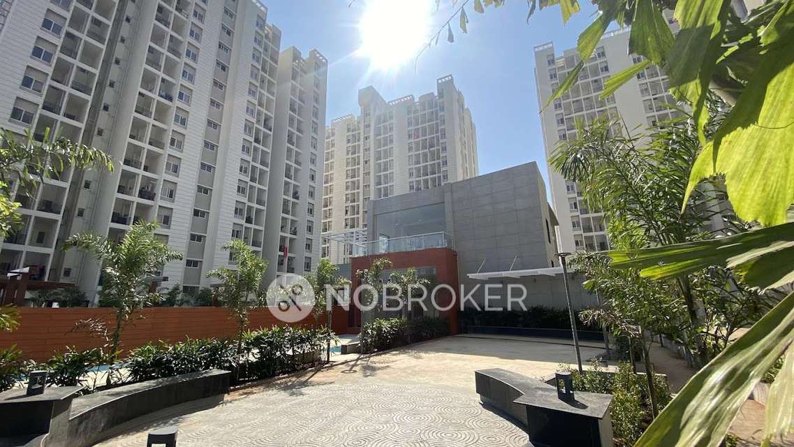 2 BHK Flat In Vtp Purvanchal for Rent  In Wagholi