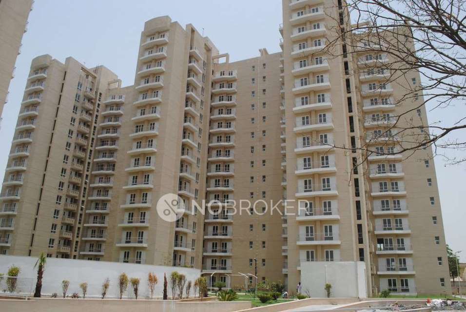 3 BHK Flat In The Ozone Park Apartments For Sale  In Sector 86