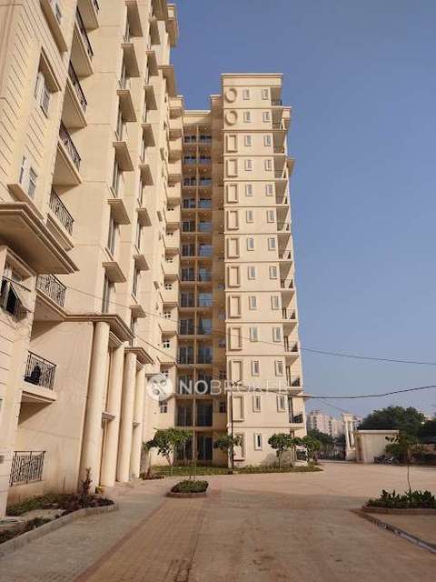 2 BHK Flat In Signature The Serenas for Rent  In Sohna