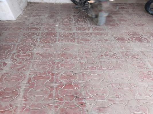 2 BHK Flat In Sai Crystal  For Sale  In Wagholi