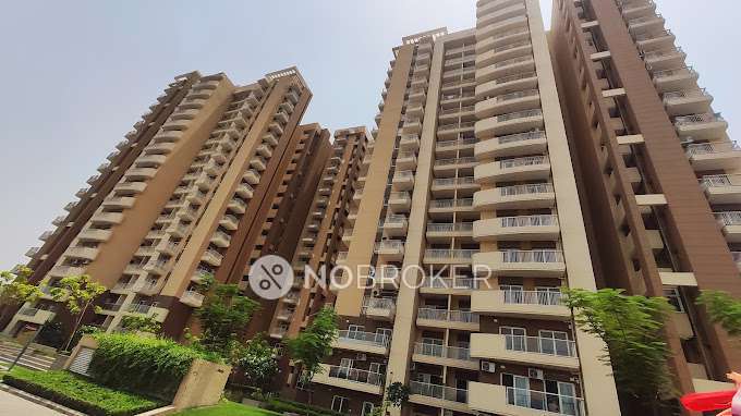 2 BHK Flat In Eldeco Accolade for Rent  In Sohna