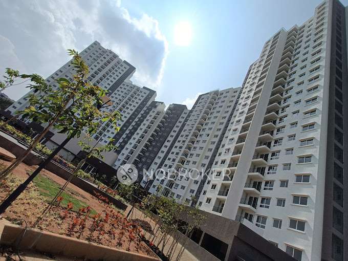 3 BHK Flat In Godrej  24 for Rent  In Sarjapur