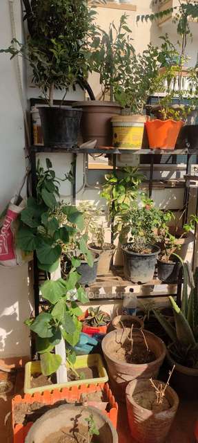 2 BHK Flat In Nilaya Greens For Sale  In Raj Nagar Extension