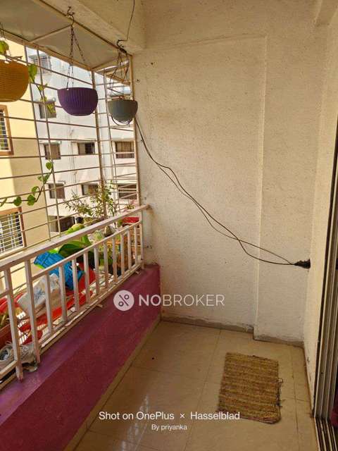 2 BHK Flat In Global Heights Manjri Budruk for Rent  In Manjri Budruk