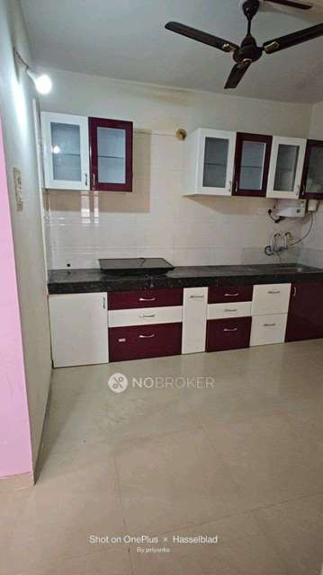 2 BHK Flat In Global Heights Manjri Budruk for Rent  In Manjri Budruk