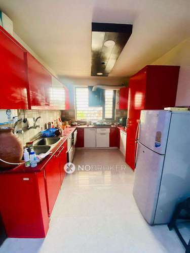 PG for Boys in Sector 43