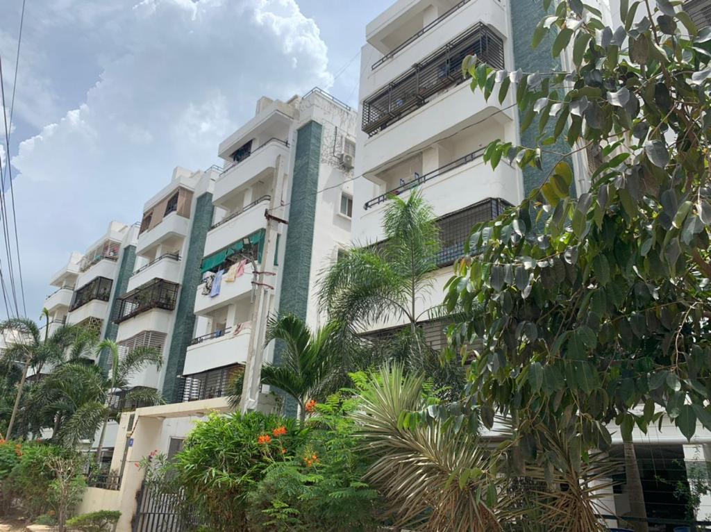 Aryamitra Springdale