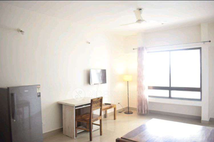 1 BHK Flat In Paranjape Blue Ridge For Sale  In Hinjewadi