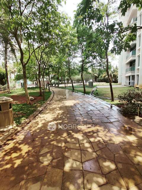 2 BHK Flat In Sangria Towers for Rent  In Hinjawadi