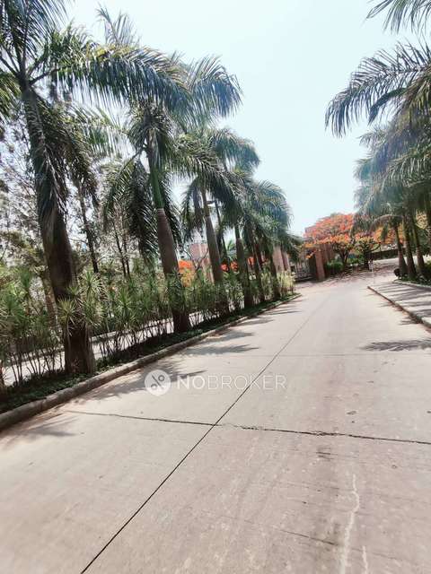 2 BHK Flat In Sangria Towers for Rent  In Hinjawadi