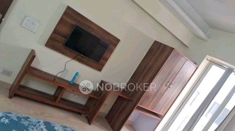 PG for Anyone in Sector 39