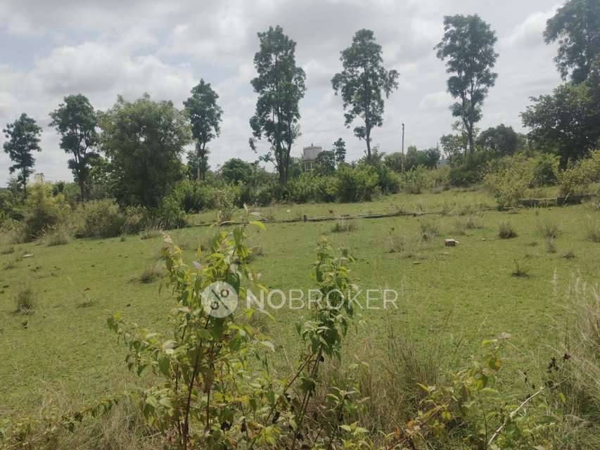 Plot For Sale  In Devanahalli