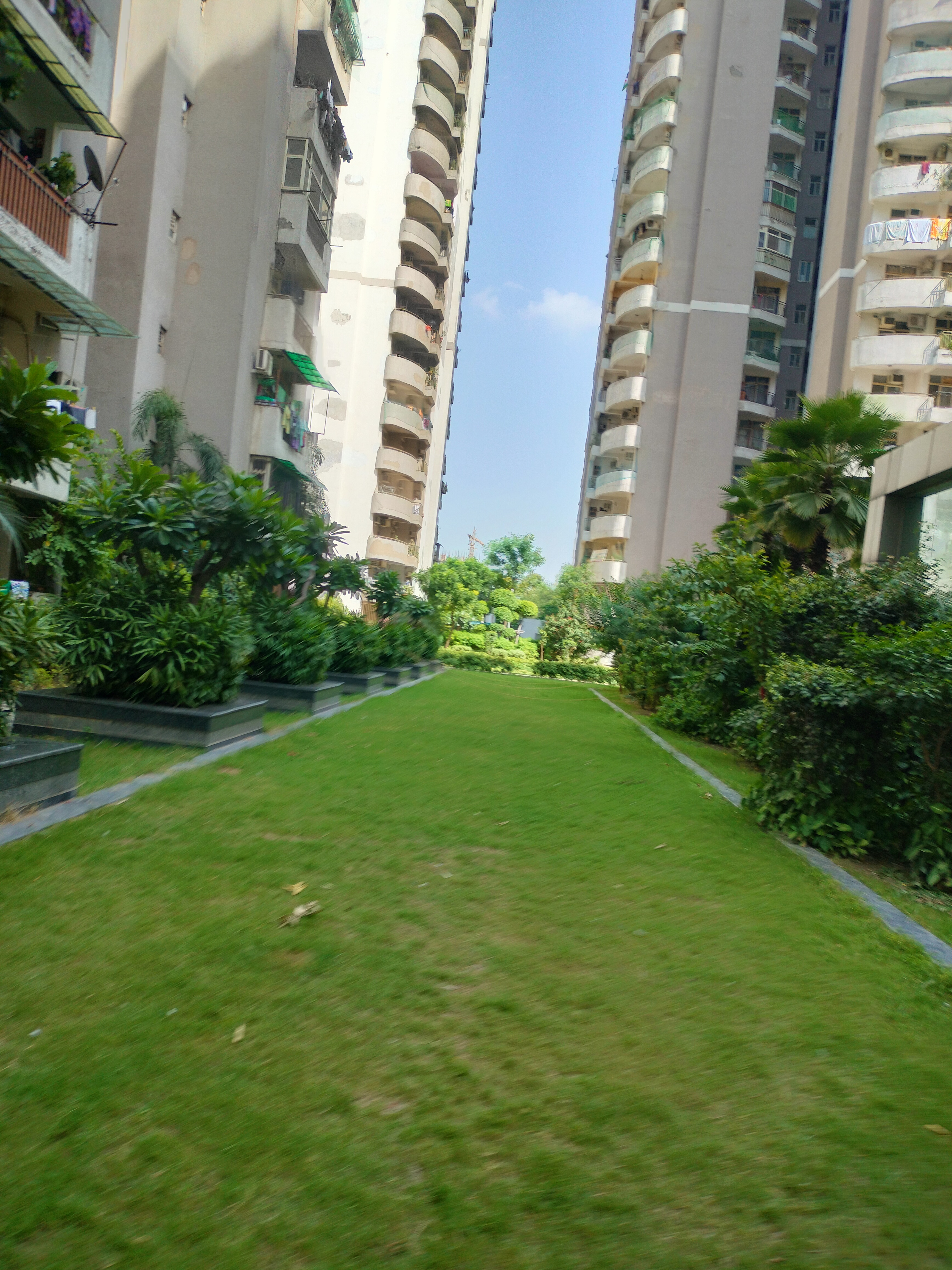 Paramount Symphony Panorama