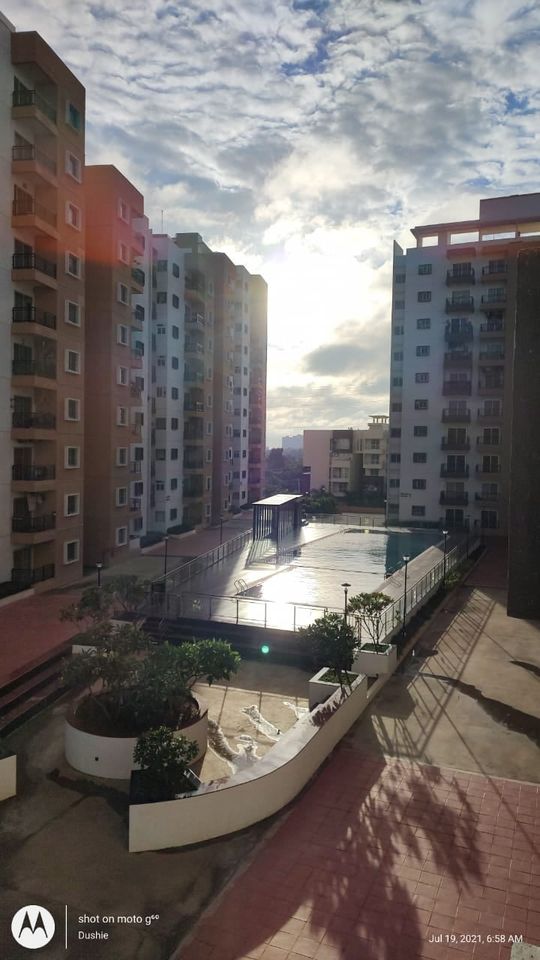 Suncity Arcadia Apartments