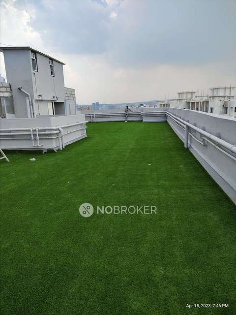 2 BHK Flat In Carnation Homes for Rent  In Pimple Saudagar