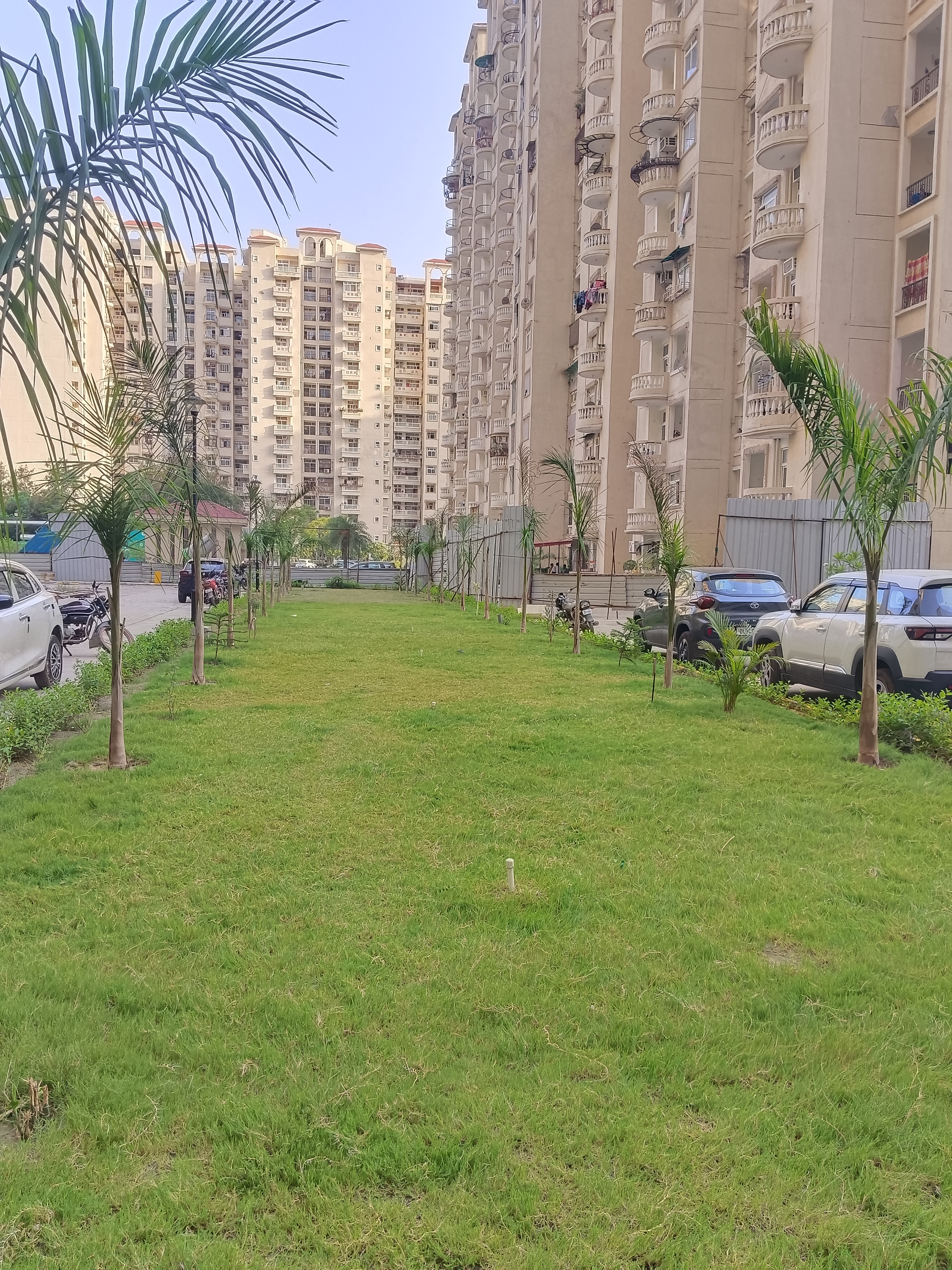Amrapali Silicon City
