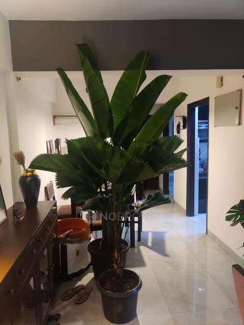 3 BHK Flat In Spenta Palazzio, Andheri East For Sale  In Andheri East