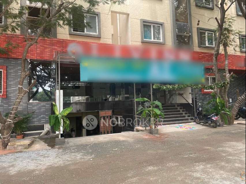 PG for Anyone in Whitefiled 