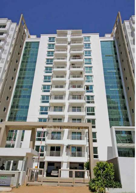 3 BHK Flat In Purva Atria Platina, R.m.v. 2nd Stage For Sale  In Rmv 2nd Stage