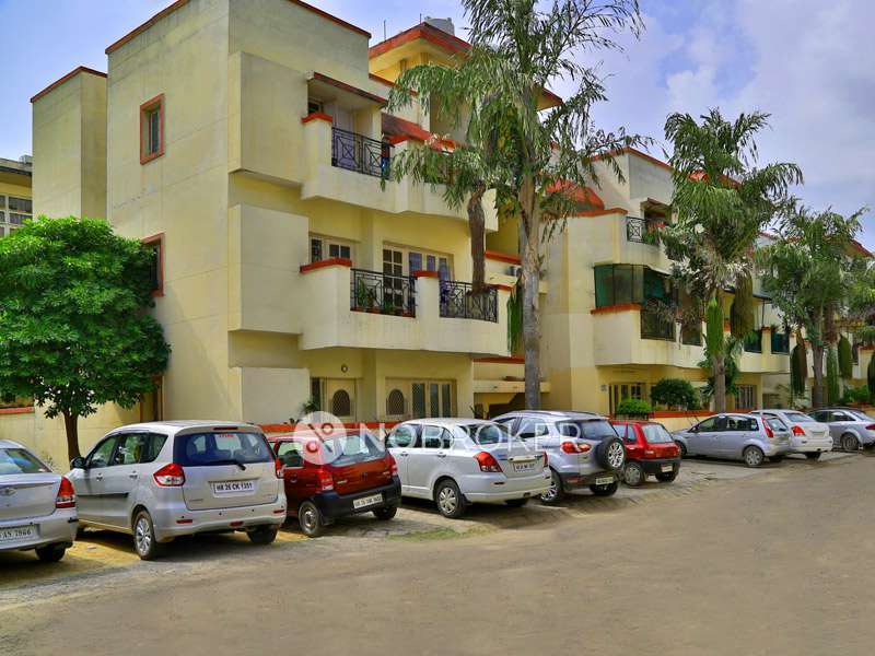 2 BHK Flat In Mayfield Gardens, Sector 51 for Rent  In Sector 51