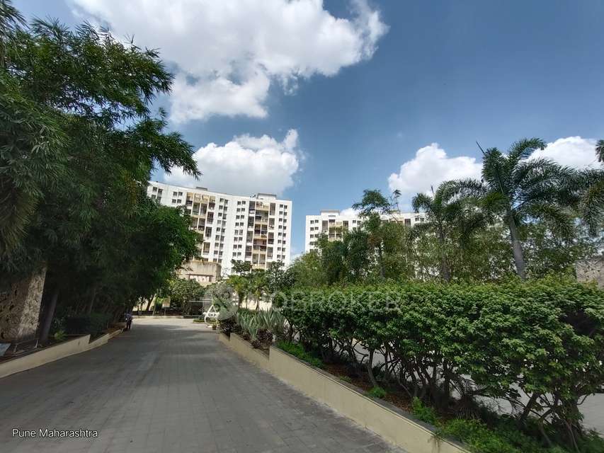 2 BHK Flat In The Leaf For Sale  In Kondhwa Budruk