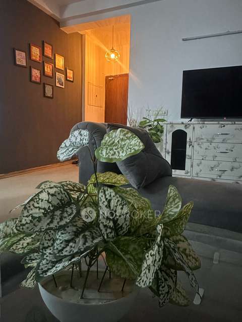 3 BHK Flat In Unitech Horizon For Sale  In Sector Pi-1