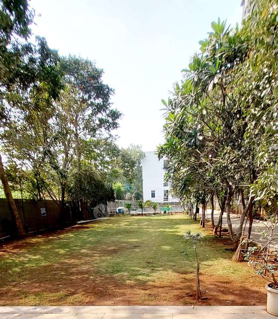 2 BHK Flat In Woodsville Phase 1 for Rent  In Pimpri-chinchwad,