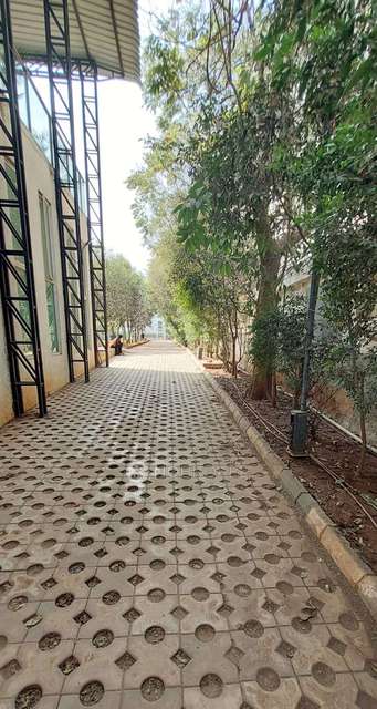 2 BHK Flat In Woodsville Phase 1 for Rent  In Pimpri-chinchwad,