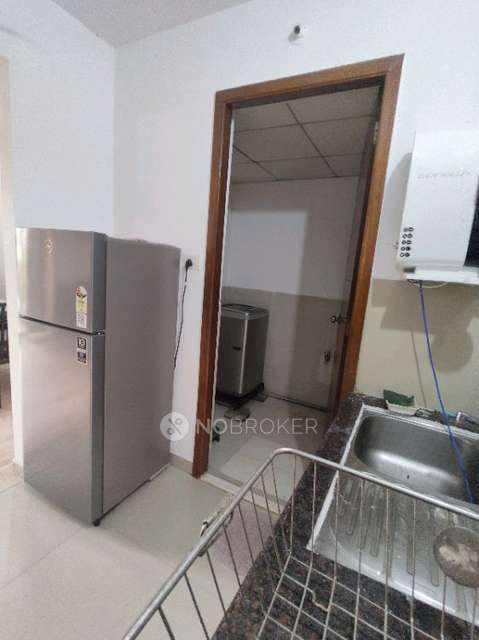 2 BHK Flat In Marvel Fria for Rent  In Wagholi
