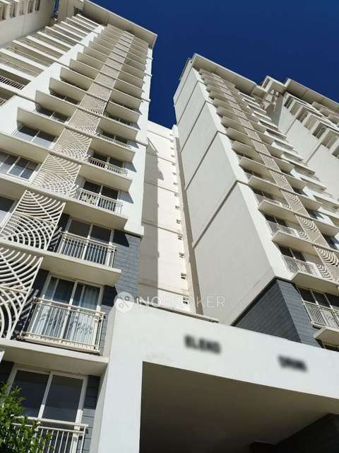 3 BHK Flat In Purva Palm Beach for Rent  In Kyalasanahalli