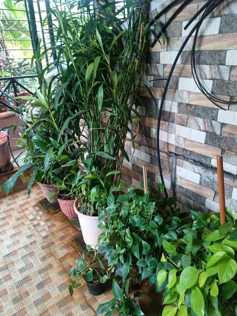 3 BHK Flat In Gandharva Park  For Sale  In Pimpri-chinchwad