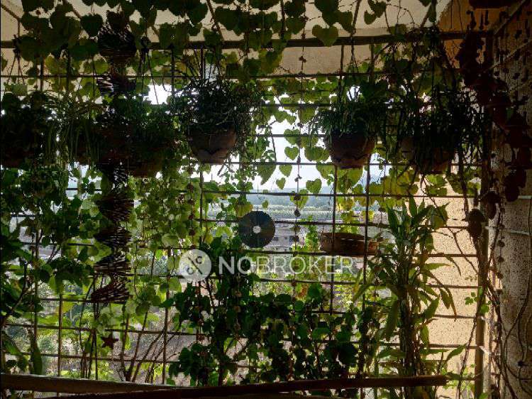 1 BHK Flat In Saivishwa Society  For Sale  In  Sudumbre