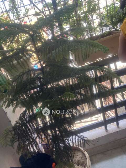 2 BHK Flat In Green Residency Welfare Society  For Sale  In Mehrauli