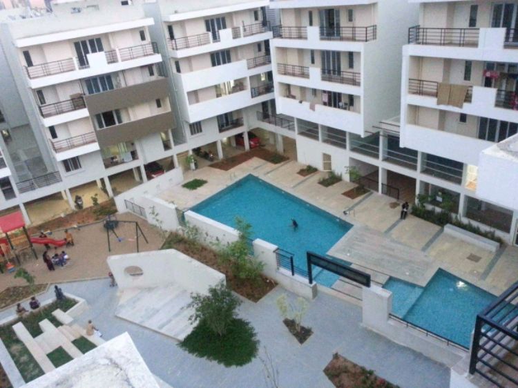 Trifecta Adithya Sollievo