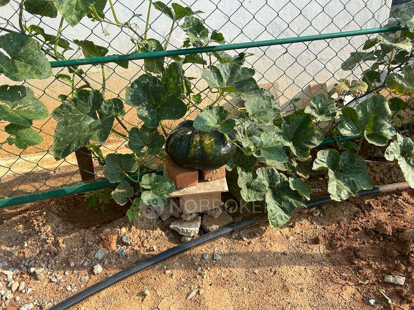 4 BHK Villa In Confident Beverly Hills Pvt For Sale  In Yamare Village