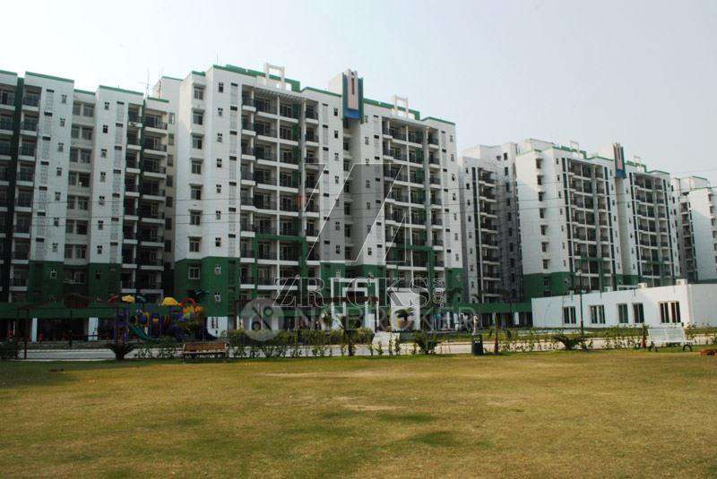 2 BHK Flat In North Avenue Omaxe City for Rent In Omaxe City