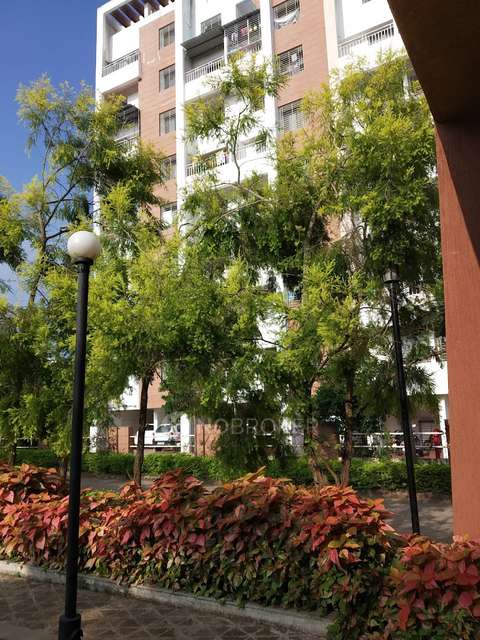 1 BHK Flat In Mark Ventures Yashwant Nagar Plus For Sale  In Talegaon Dabhade