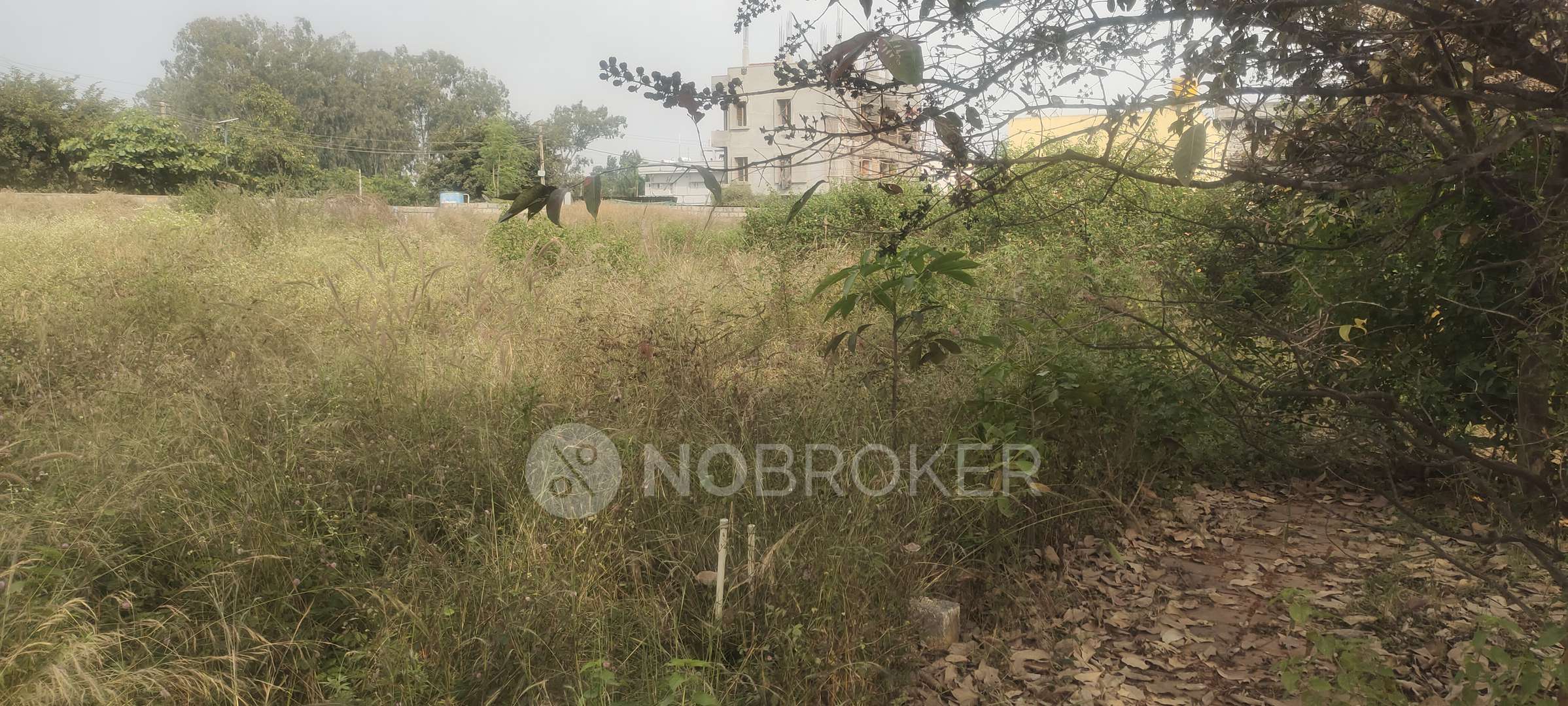 Plot For Sale  In Dhammanagi Florence In Shettigere