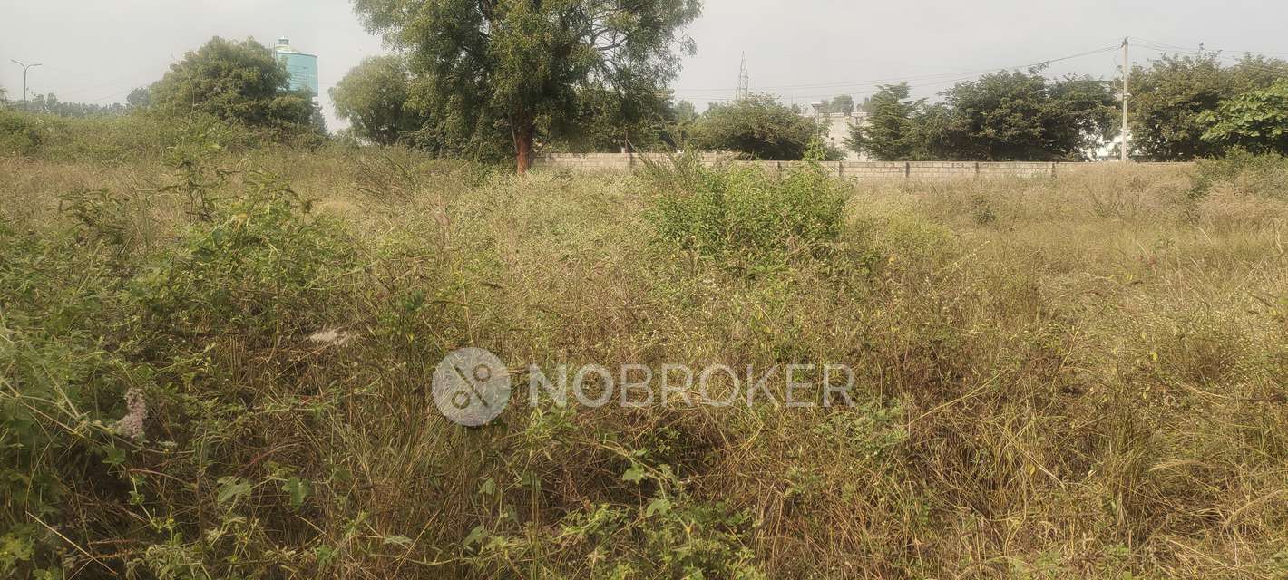Plot For Sale  In Dhammanagi Florence In Shettigere