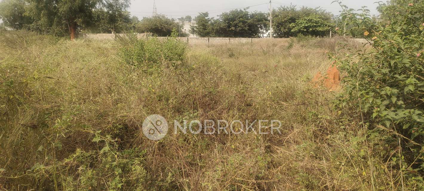 Plot For Sale  In Dhammanagi Florence In Shettigere