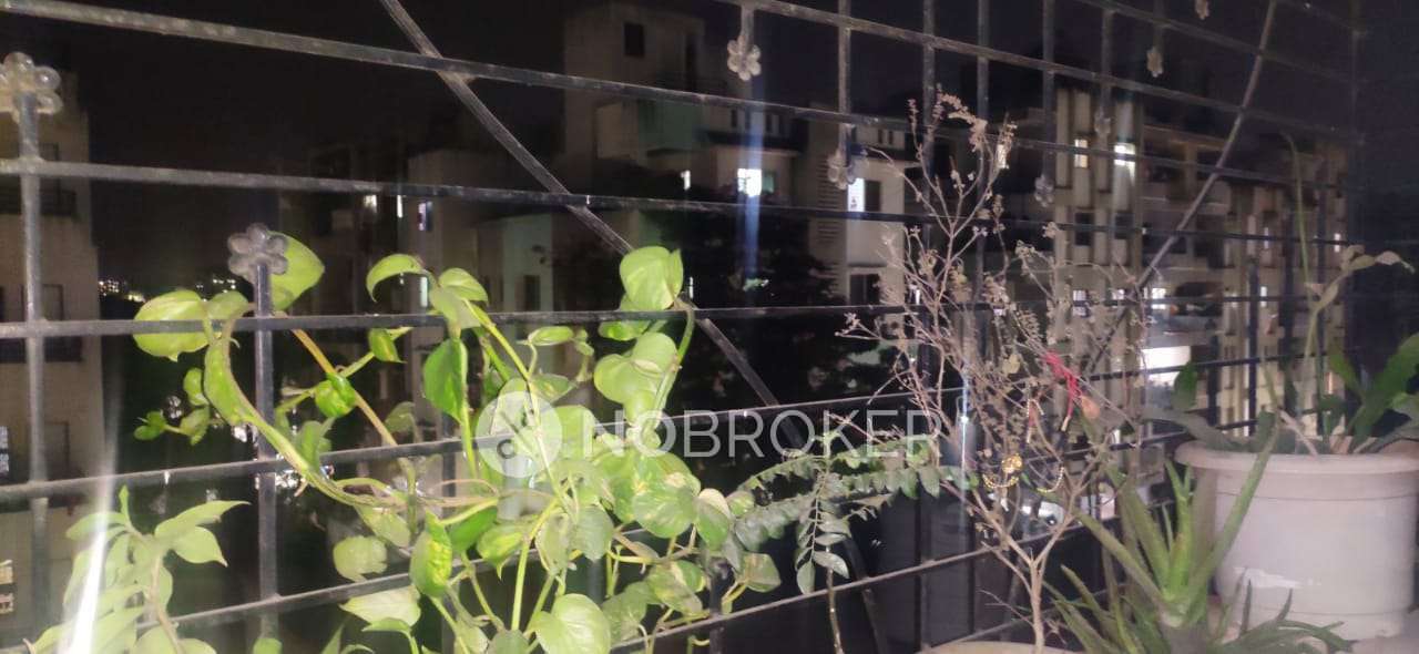 1 BHK Flat In Shruti Pushp Socity for Rent  In Adarsh Nagar