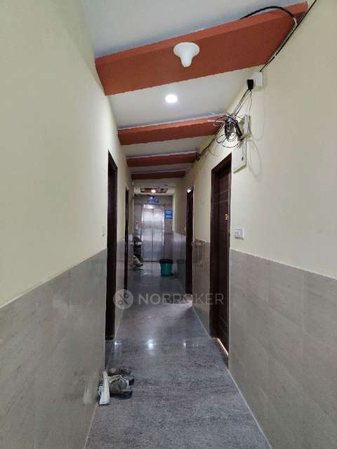 PG for Anyone in Silver Springs Layout, Munnekollal