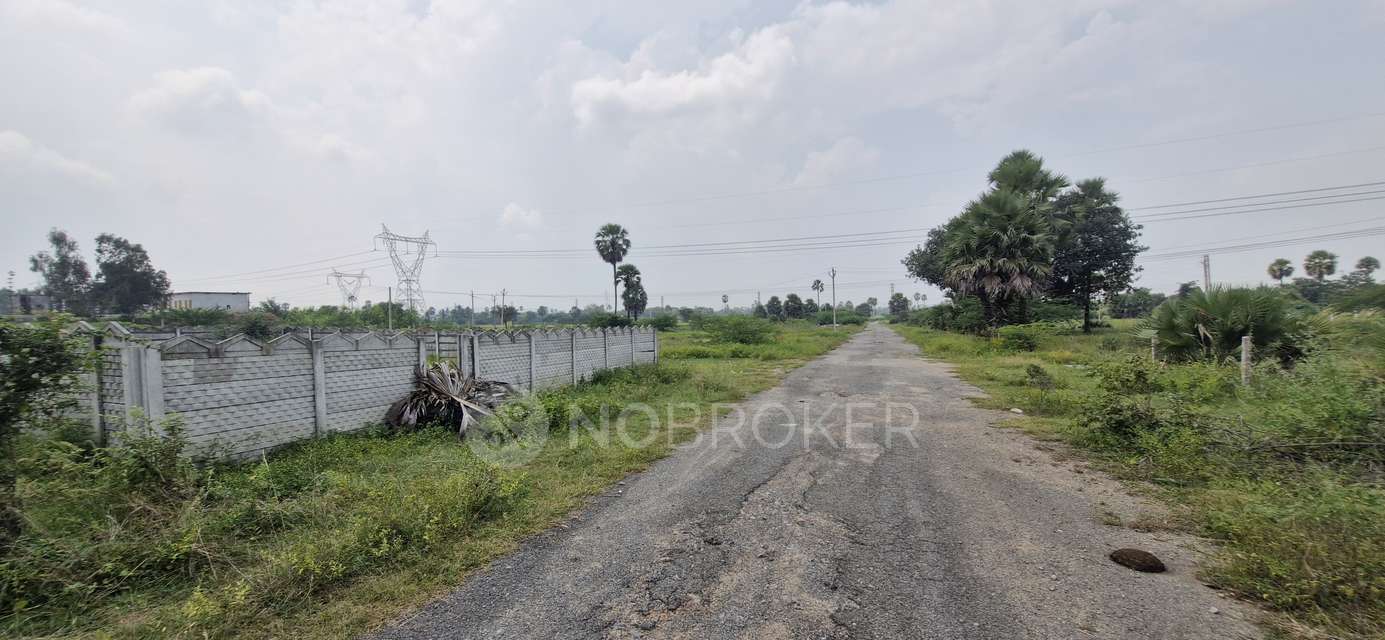 Plot For Sale  In Taramatipet